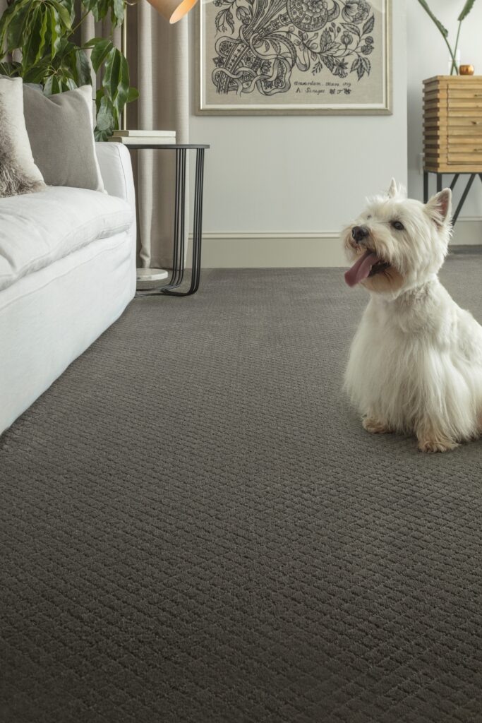 Carpet Flooring | NFA Lasting Luxury